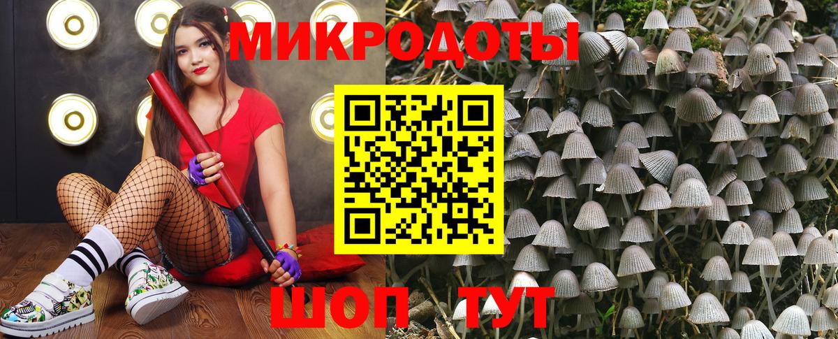 Псилоцибиновые грибы Psilocybine cubensis Куйбышев