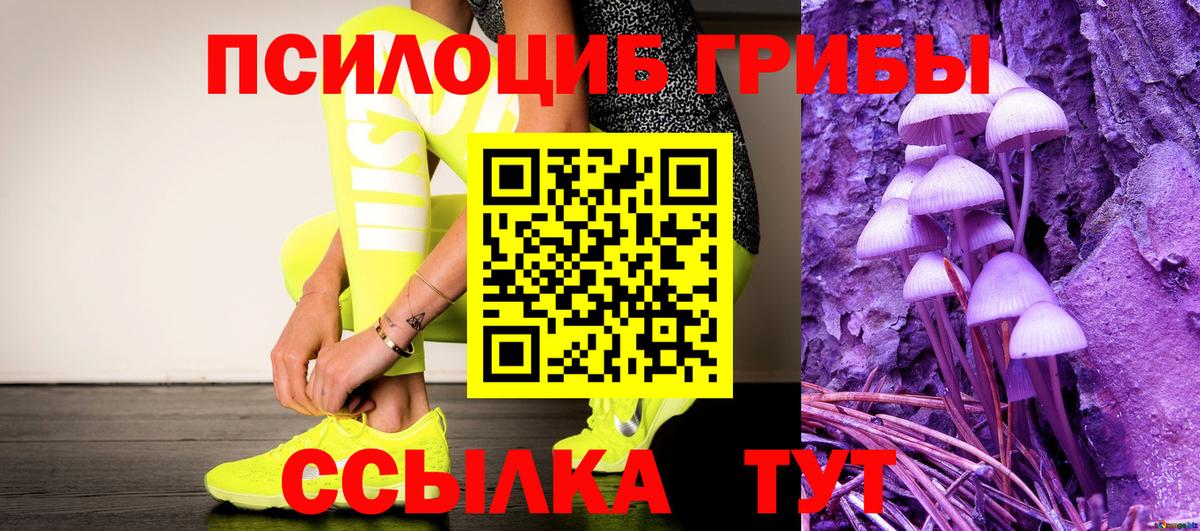 купить наркотик  Псилоцибиновые грибы Psilocybe  Вход с VPN  Куйбышев  Галлюциногенные грибы Cubensis 
